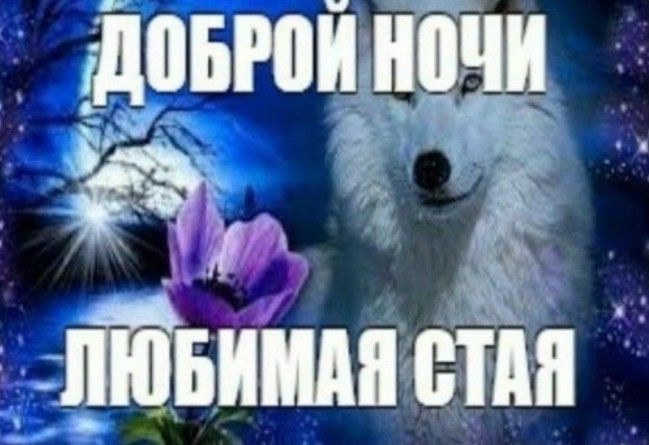 1779484197292.png