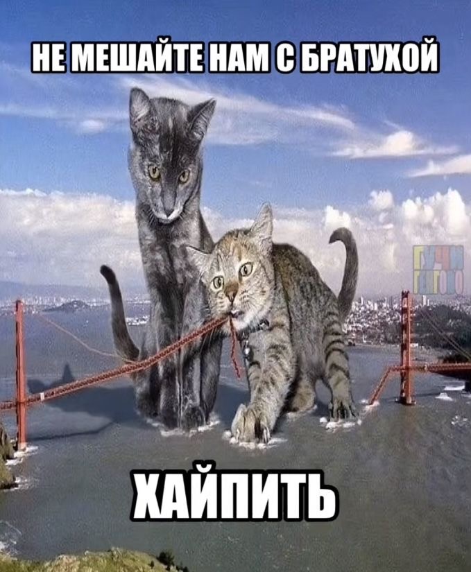 IMG_7472.jpeg