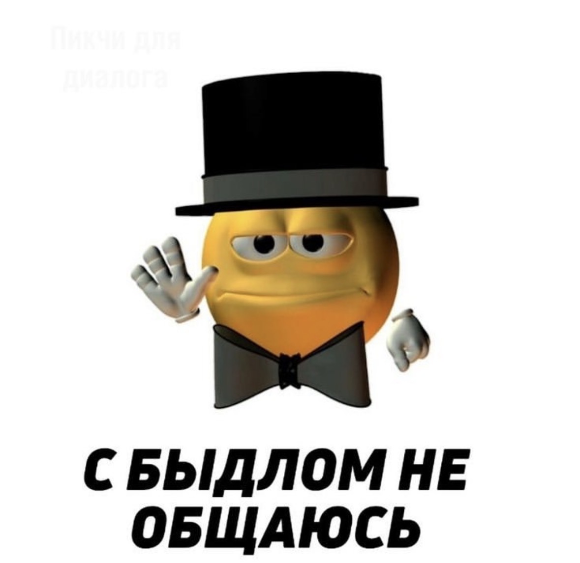 IMG_8158.jpeg