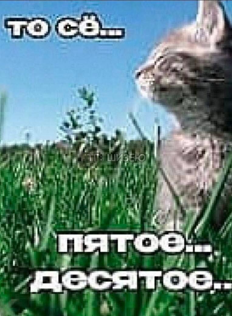 IMG_7474.jpeg