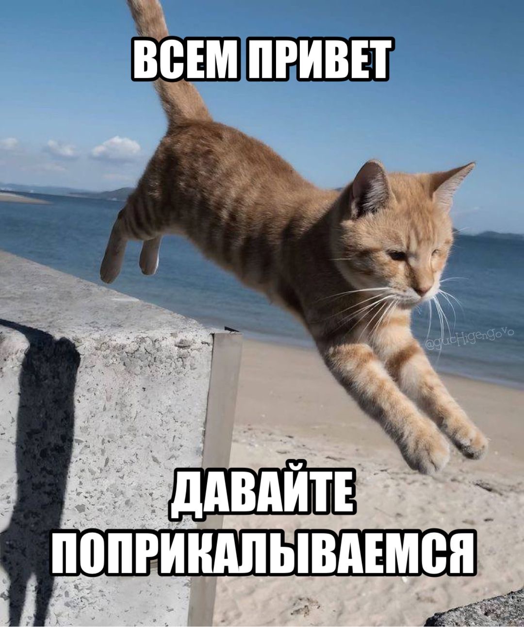 IMG_7524.jpeg