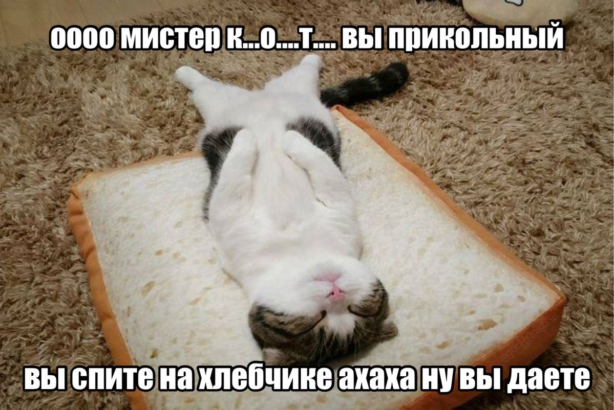 IMG_7526.jpeg