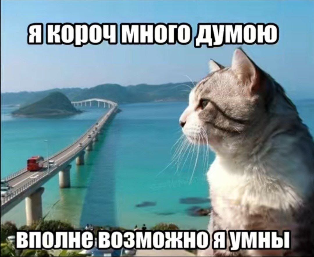 IMG_7532.jpeg