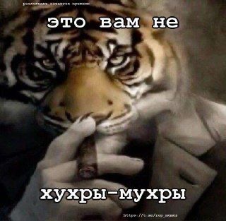 IMG_6323.jpeg