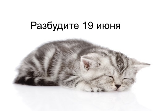 1780742259549.jpeg