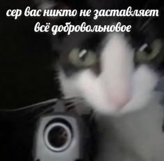 ce7ec252ad5b4ea557b65e5ce344833c.jpg