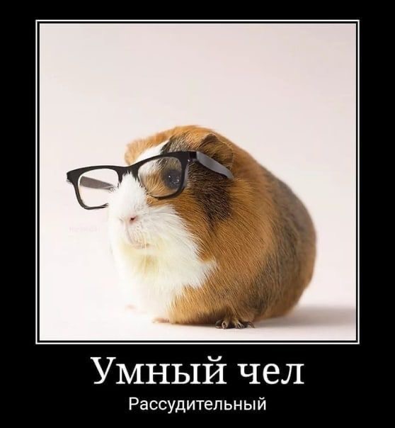 IMG_7591.jpeg