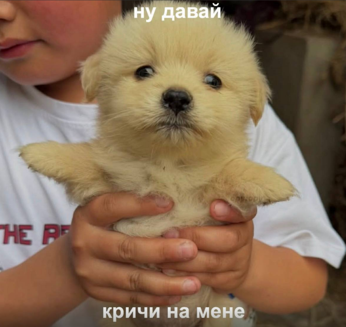 Снимок экрана 2026-05-30 144833.png