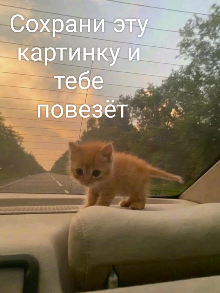 1780904394811.png