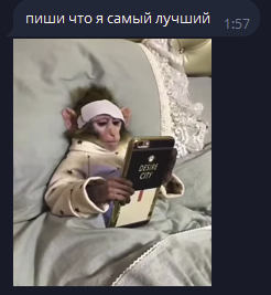 1781040585015.png