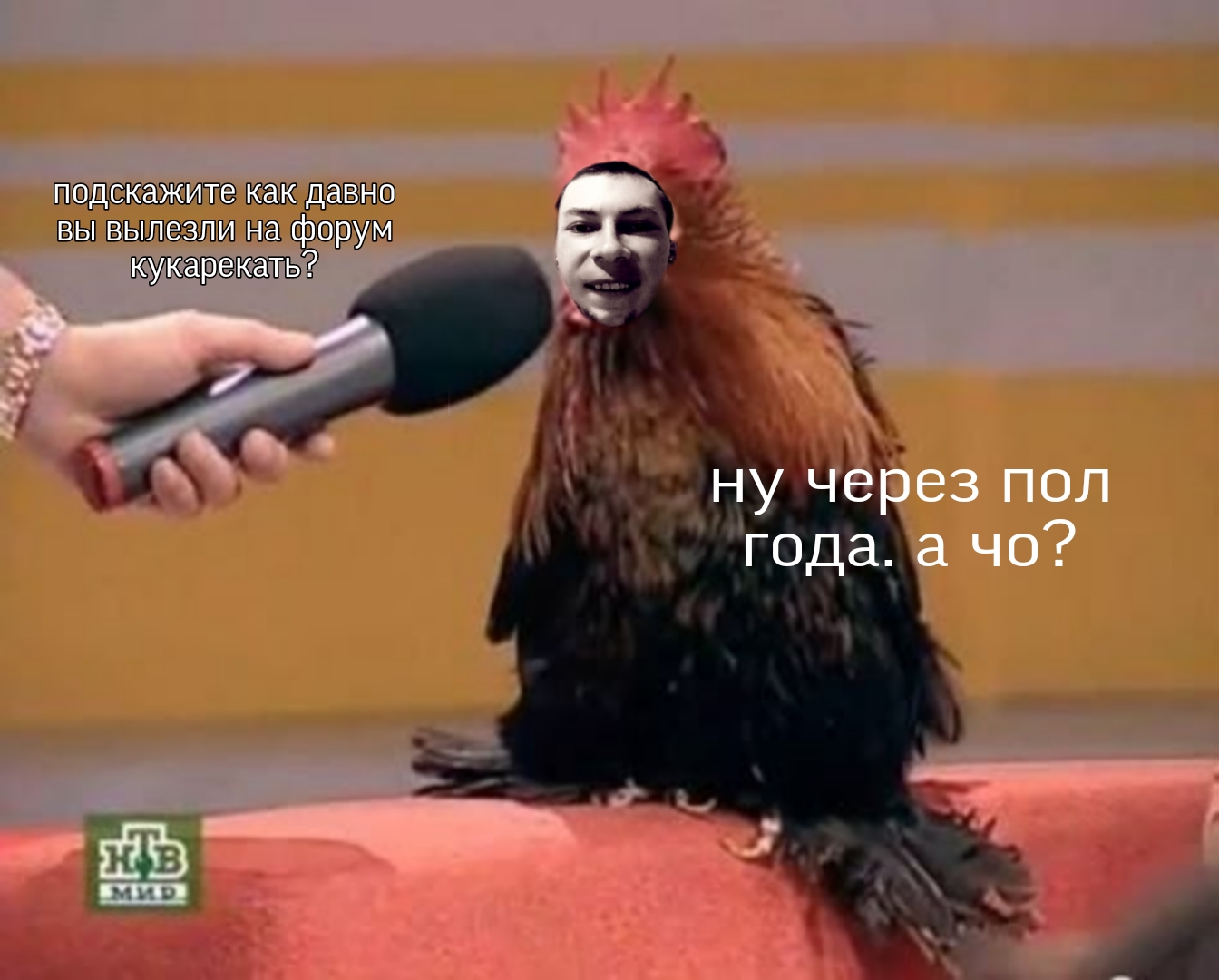 Picsart_26-06-14_13-00-44-516.jpg