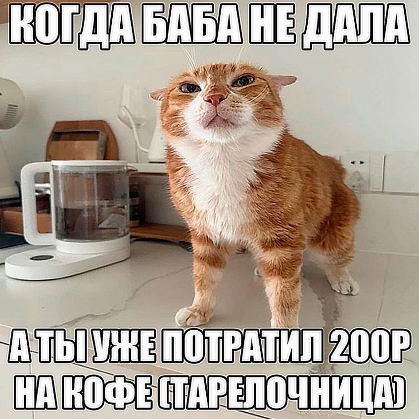 IMG_7660.jpeg