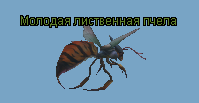 1781466505611.png