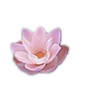 acetone-2026614-23251-839.png