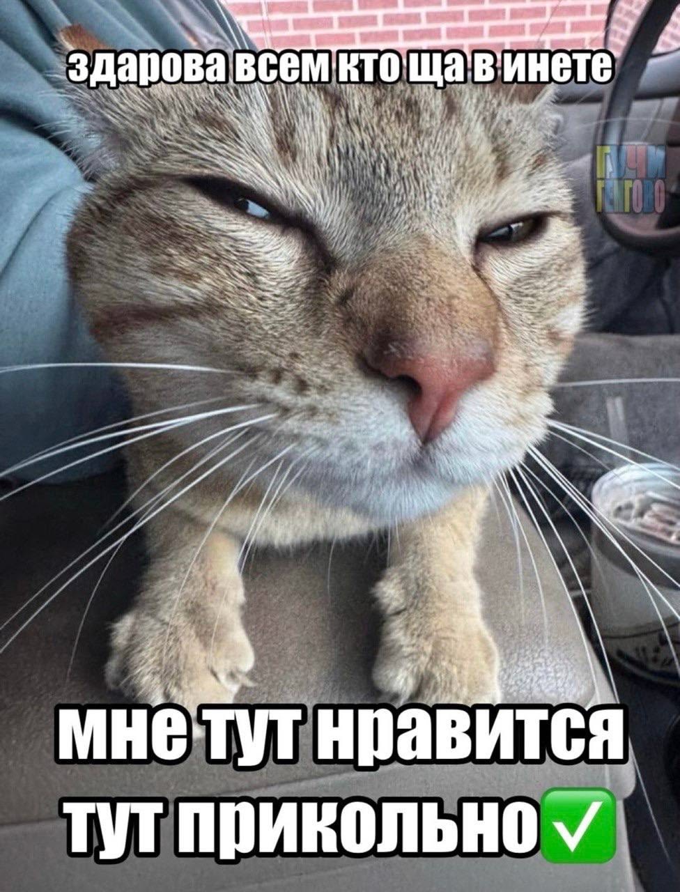 IMG_7665.jpeg