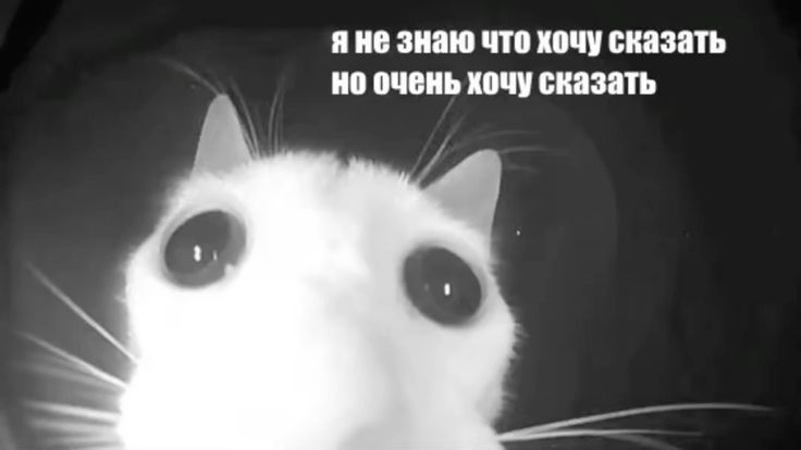 1781610268291.png