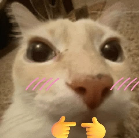 1781870016856.png