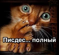 de635ee16b03aae60d924d62ca70984a.jpg