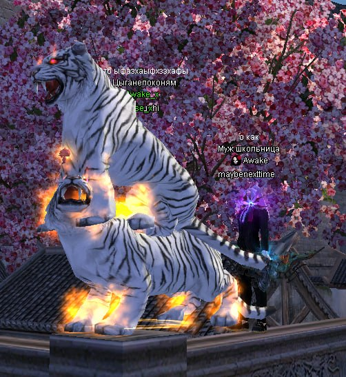 image3a.png