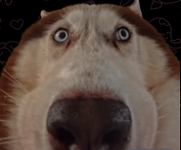 1775497677421.png