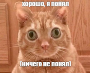 1779358509734.png