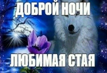 1779484197292.png