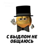 IMG_8158.jpeg