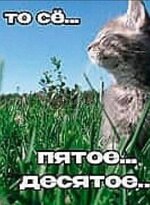 IMG_7474.jpeg
