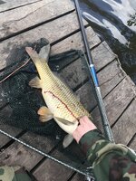 IMG_1582.jpeg