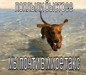 IMG_7525.jpeg