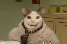 1780569243015.png