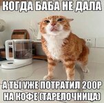 IMG_7660.jpeg
