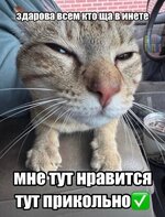 IMG_7665.jpeg