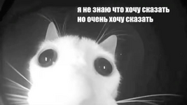 1781610268291.png