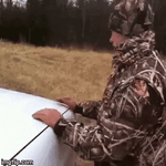 1QmS.gif