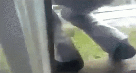 погнали.gif