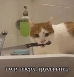 1f37783a37abbfae81de259067c56d02.jpg