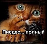 de635ee16b03aae60d924d62ca70984a.jpg