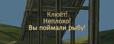 1782660982438.png
