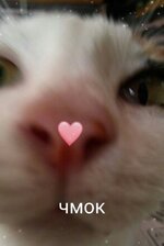 7f6f8e99eb112137334de31ad0abe160.jpg