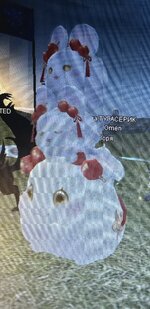 IMG_9284.jpeg