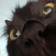 676767