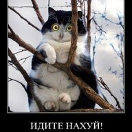 Сакип