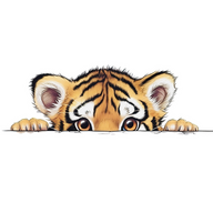 Блик