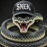 SnekPW