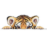 Блик